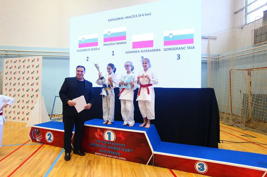 Odlične uvrstitve članov Karate kluba Mirna Peč