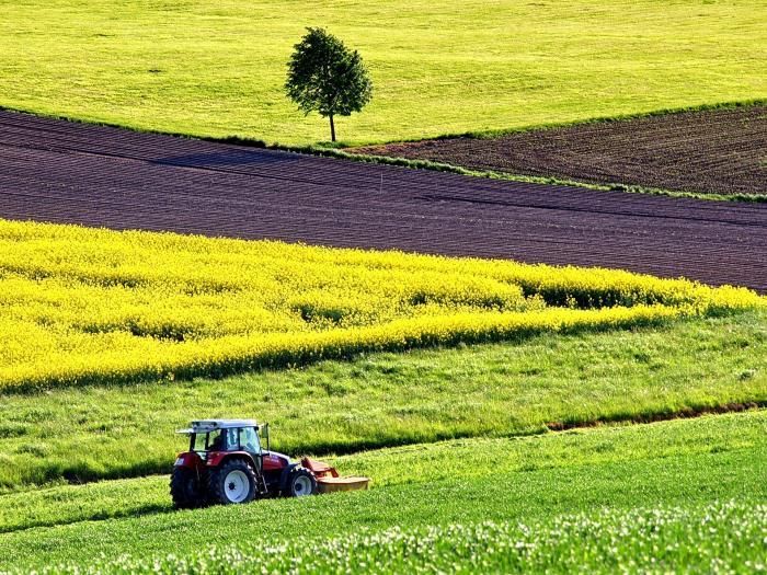 OBVESTILO za vložitev vlog na drugi rok na Javni razpis za dodelitev pomoči za ohranjanje in spodbujanje razvoja kmetijstva in podeželja v Občini Gorje v letu 2022