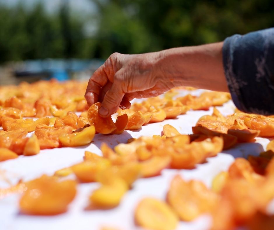 Praktična učna delavnica: Sušenje sadja, ki dozori v poletnih mesecih