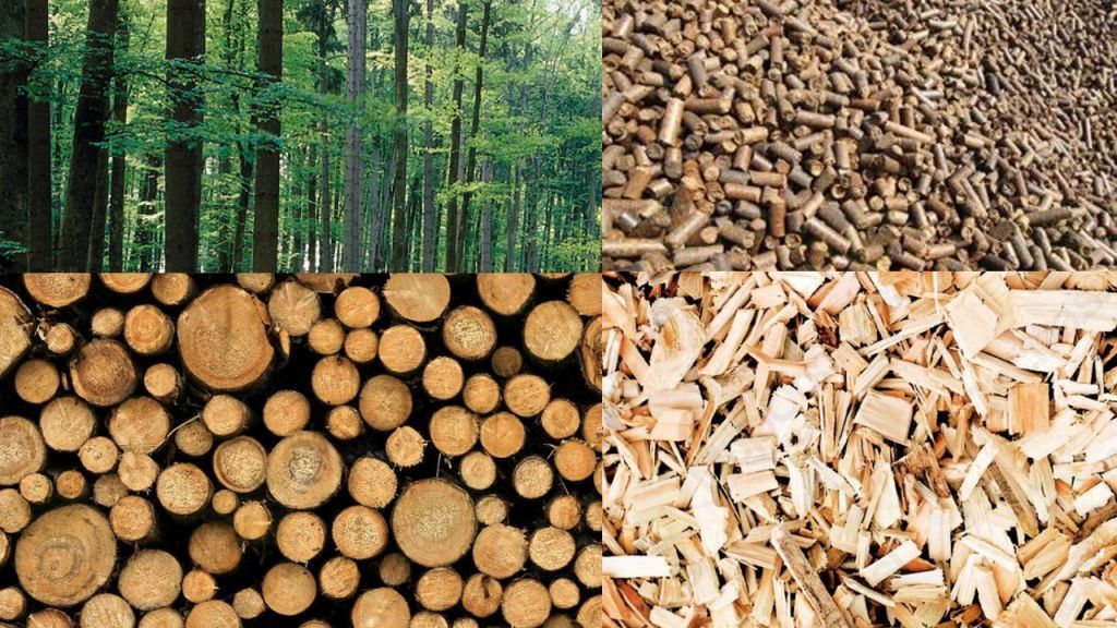les je trajnosten energetski vir lokalnega razvoja!