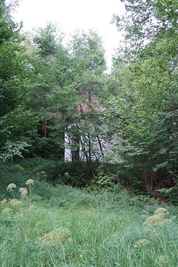 8.	Z grmovjem in drevesi obdana kapela sv. Križa 2022 (foto: Simona Kermavnar)