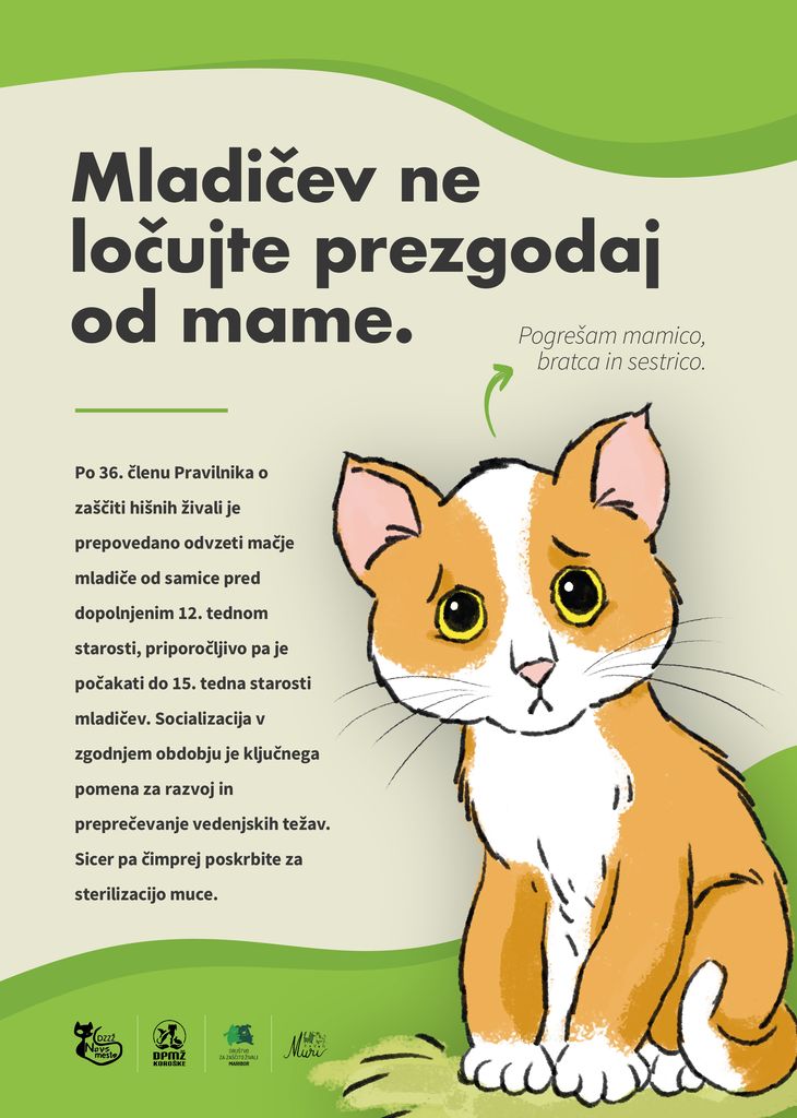 BODITE DEL REŠITVE, NE PROBLEMA! Občina Žužemberk MojaObčina.si