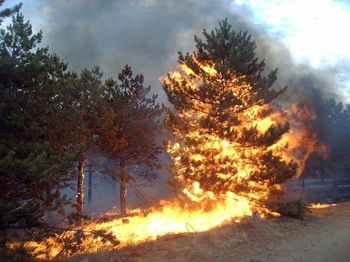 Razglašena velika požarna ogroženost naravnega okolja