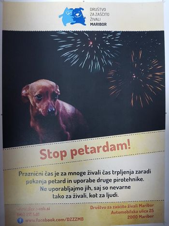 Stop petardam