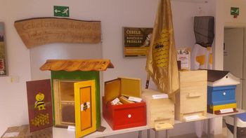 Čebelarsko društvo Trebelno-Mokronog prejel učni čebelnjak