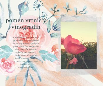 Pomen vrtnic v vinogradu