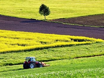 Do konca meseca je čas za prijavo na razpis za kmetijstvo za podporo društvom