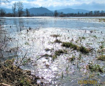 Ljubljanica in drugi glavni vodotoki so polni naplavin!