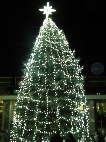 Postavitev božičnega drevesa 2019